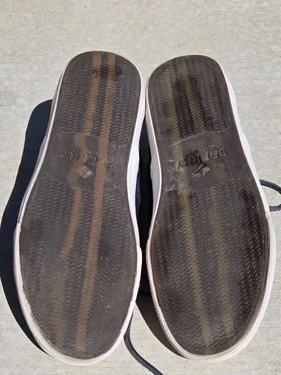 Men's Sperry, Striper II CVO SeaCycled Sneaker 10.5 - Picture 4 of 6